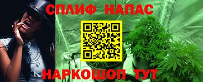 гашик Туймазы