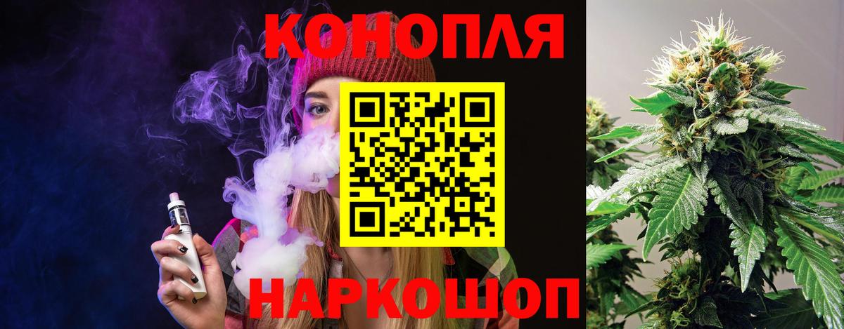 Бошки Шишки конопля Ачхой-Мартан